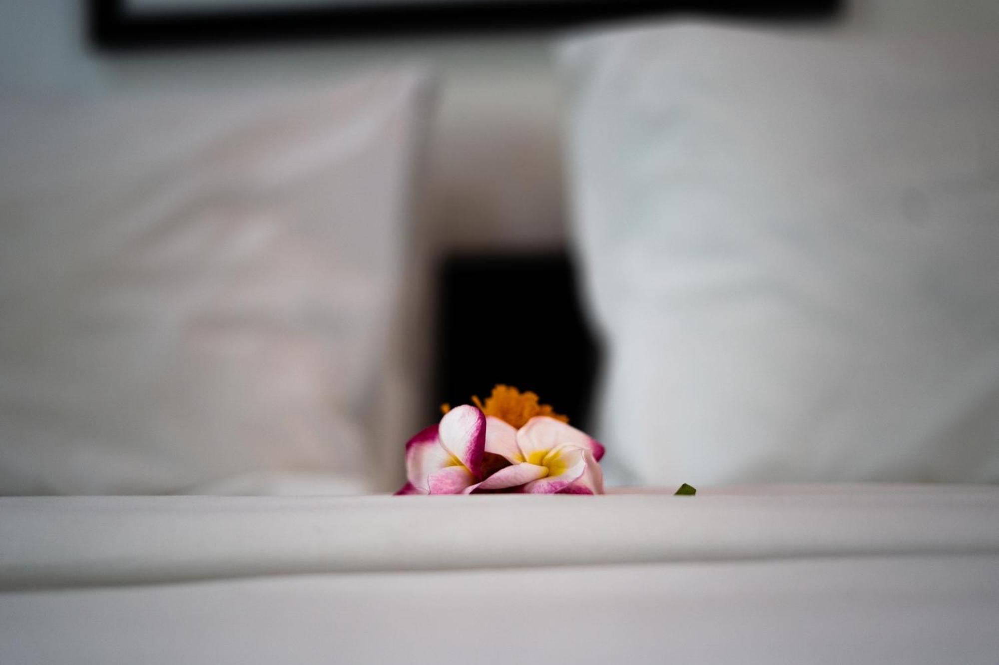 Catalina Villa Seminyak (Bali)